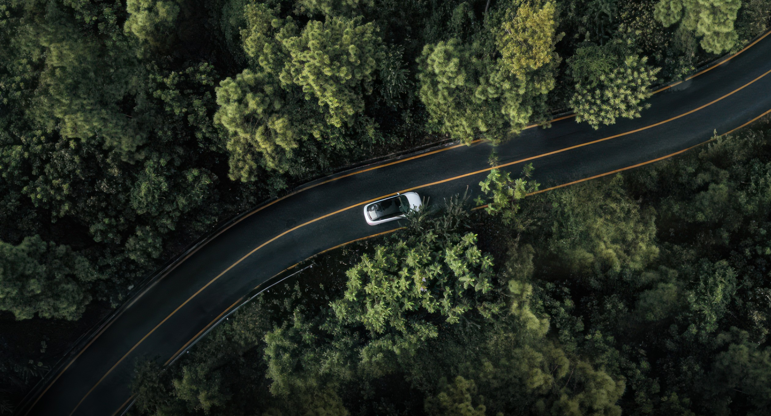 УСТОЙЧИВОЕ РАЗВИТИЕ