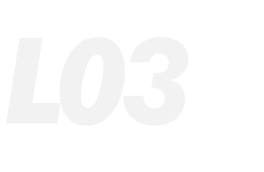 L03