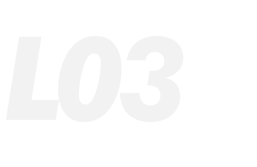 L03